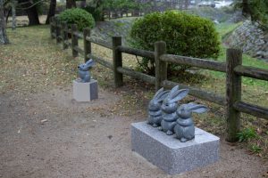 因幡の白ウサギ　221203